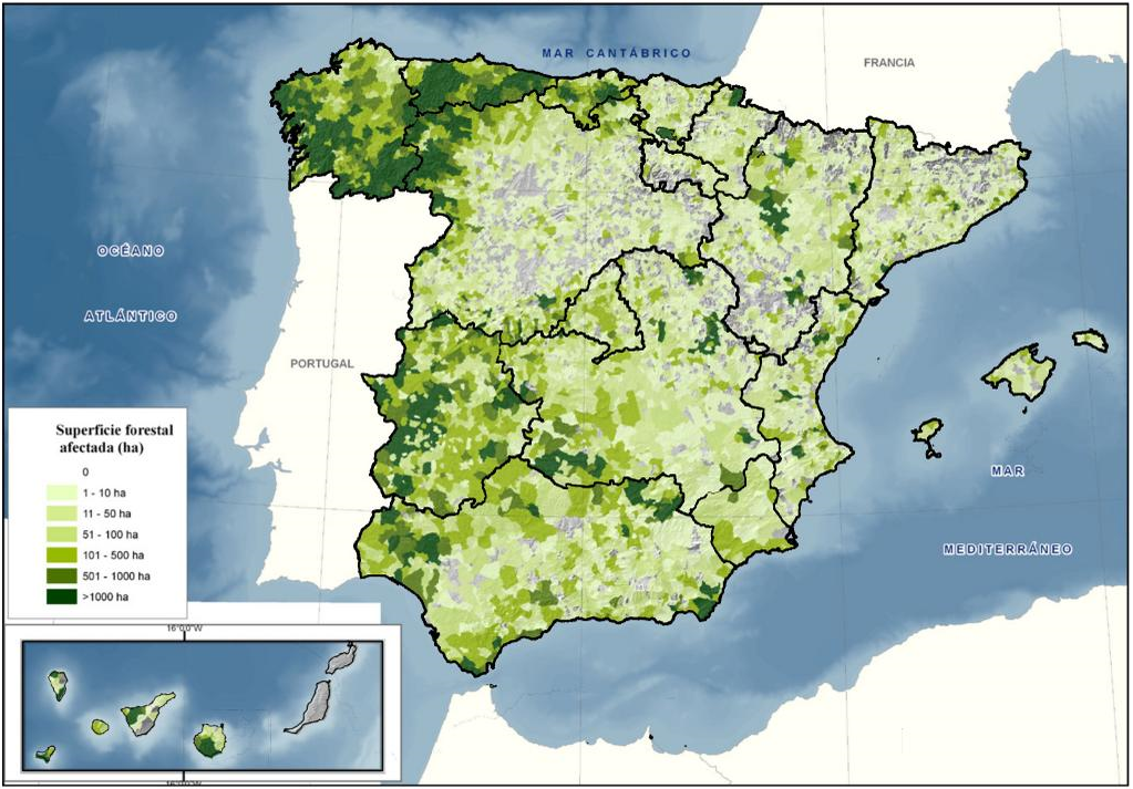 Mapa forestal de España